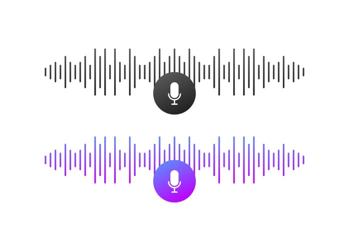 voice recording button