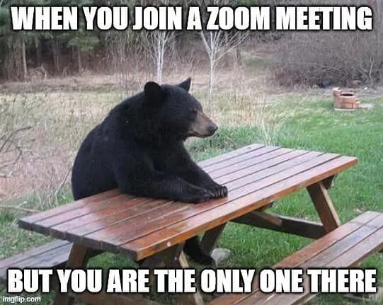 Bear-on-a-park-bench-meme