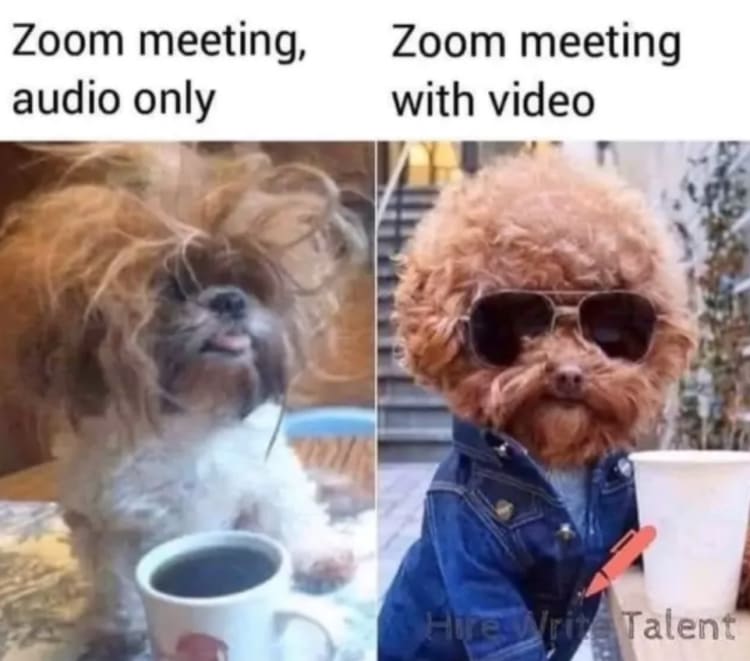 Zoom-meeting-with-video