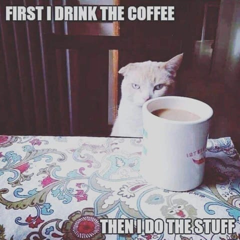 Cat-Coffee-Memes_480x480