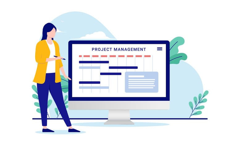 Project management woman stock illustration