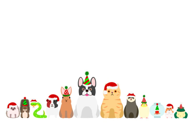 Virtual-holiday-pet-parade