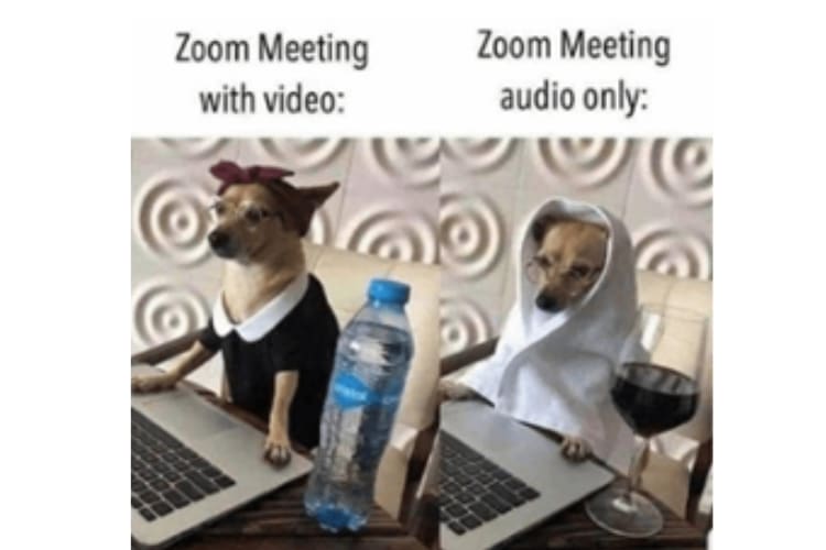 Zoom-Meeting-Audio-Only