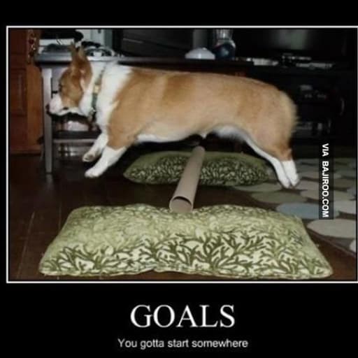 Preview image for post: Reach Your Goals in 2024 with These Goals Memes