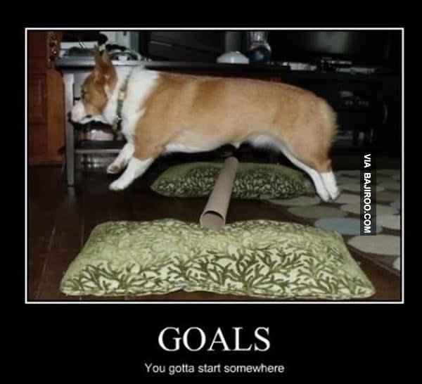 funny-its-good-to-have-goals-meme