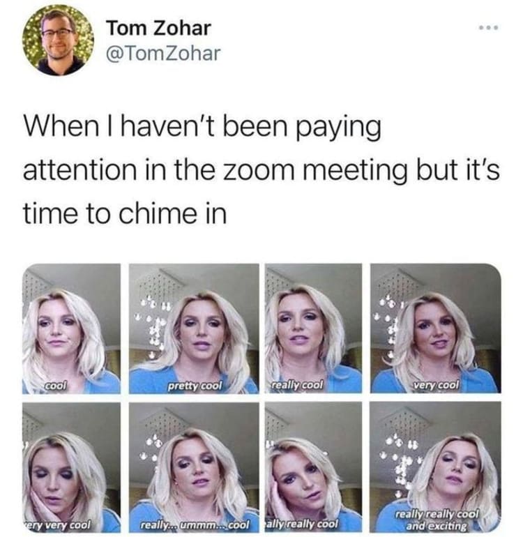 funny-zoom-memes-17