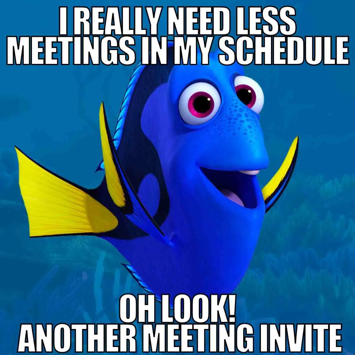 meetings-meme.jpeg