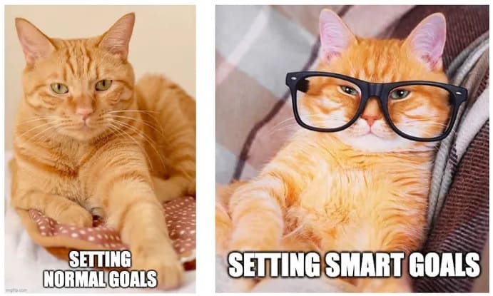 setting_smart_goals