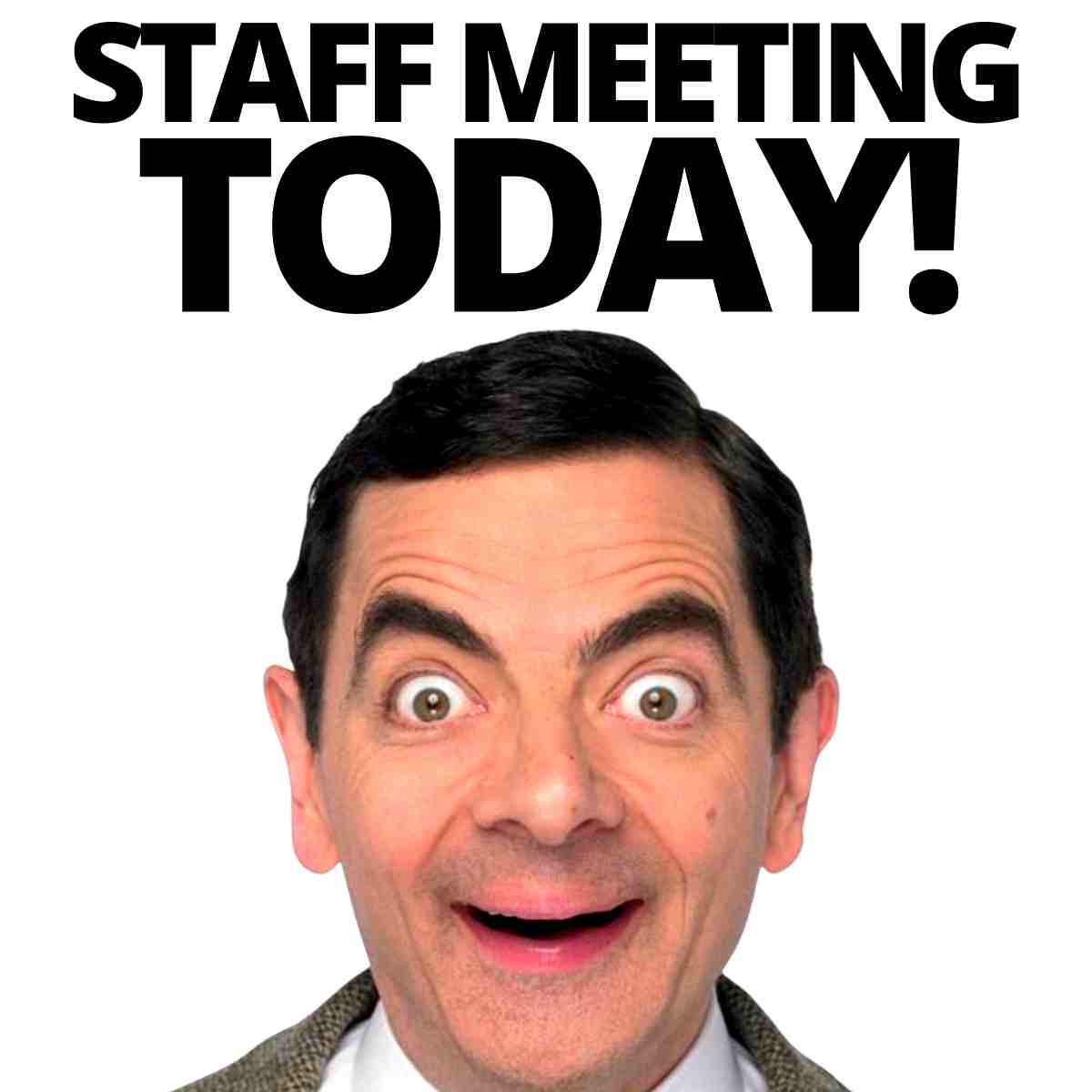staff-meeting-memes
