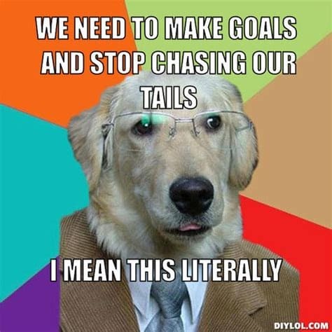 stop_chasing_our_tails