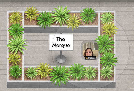 the-morgue