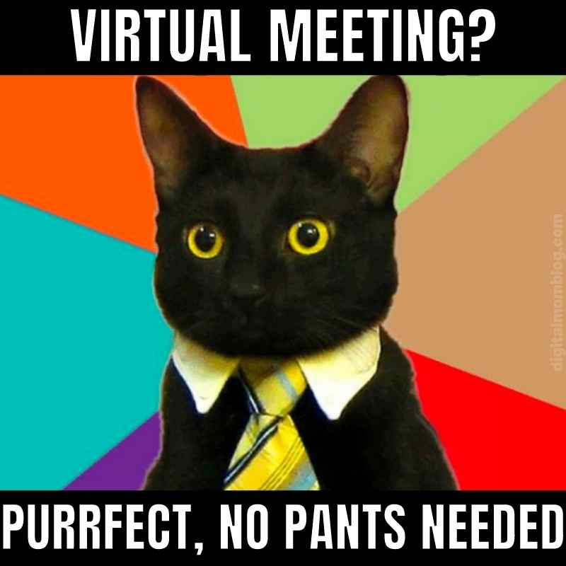 virtual-meeting-meme